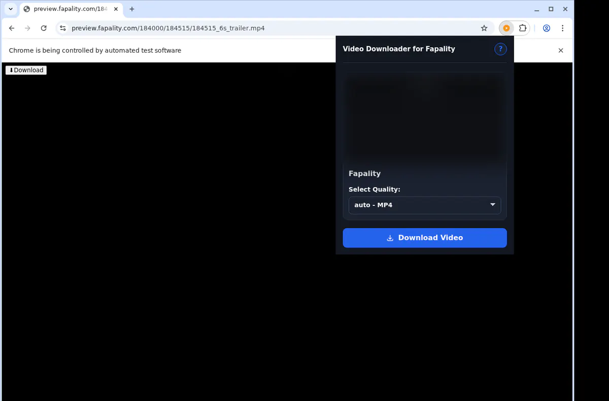 Fapality Video Downloader browser extension screenshot 4